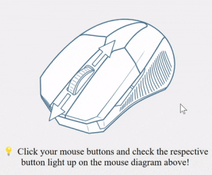 Mouse test